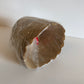 Baking muffin cup BROWN fruit packaging 8pcx10=80 per box