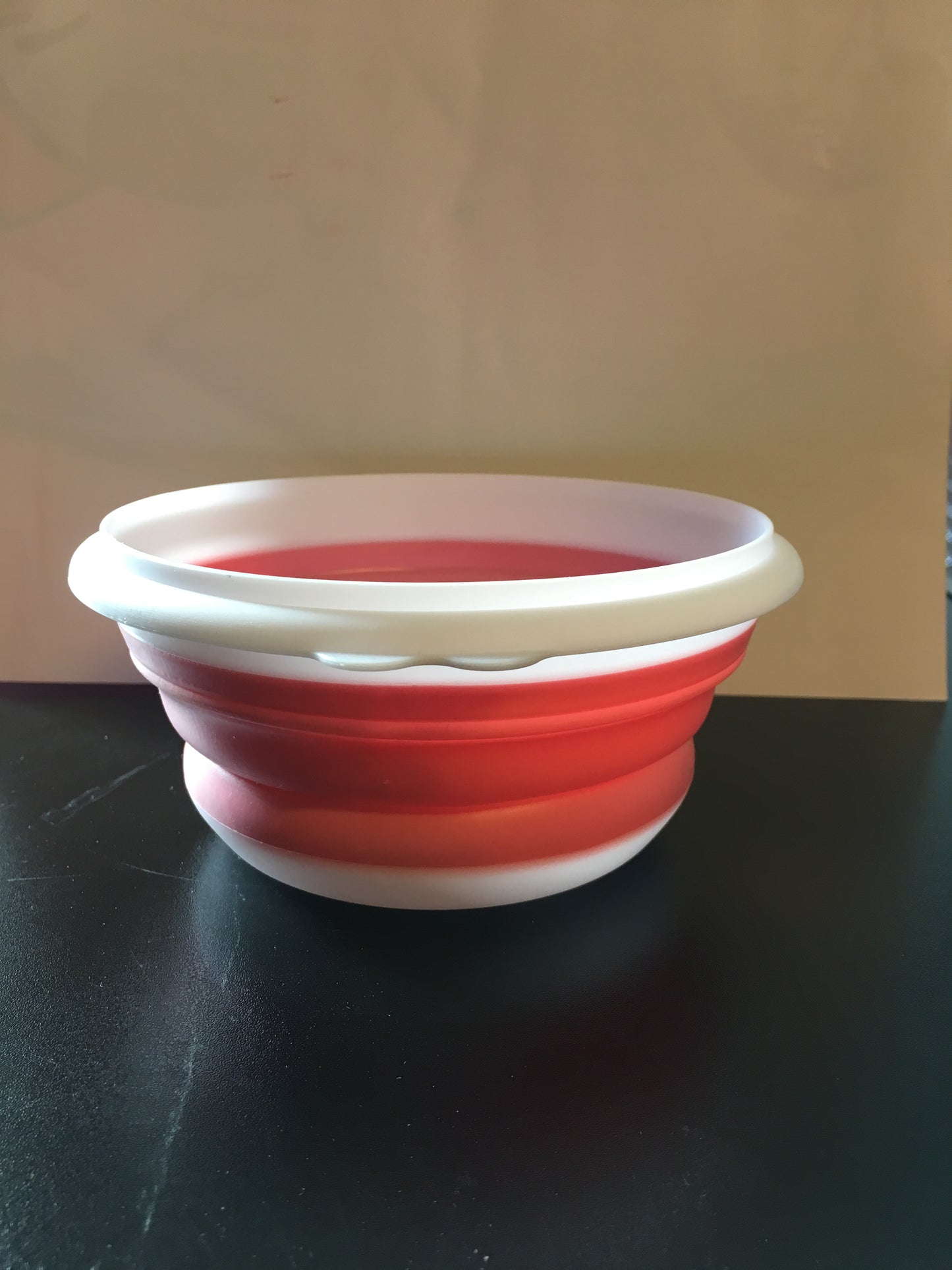 Collapsible Travel bowl with lid PINK