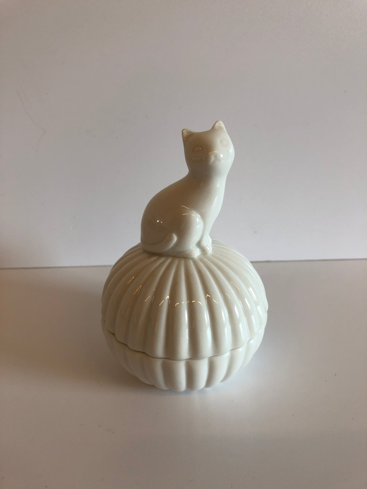 Jewelry box white cat