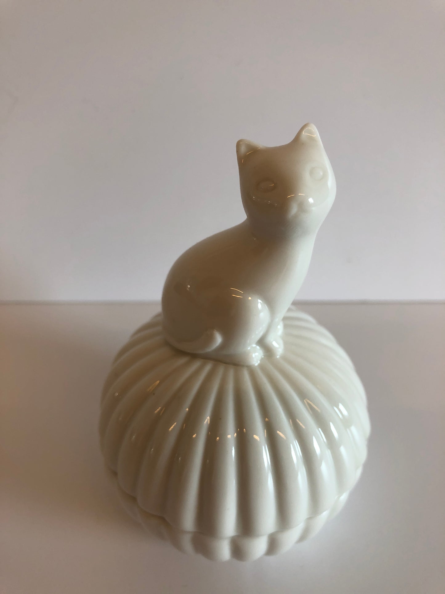 Jewelry box white cat